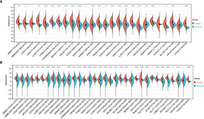 NCAPG2 could be an immunological and prognostic biomarker: From pan-cancer analysis to pancreatic cancer validation